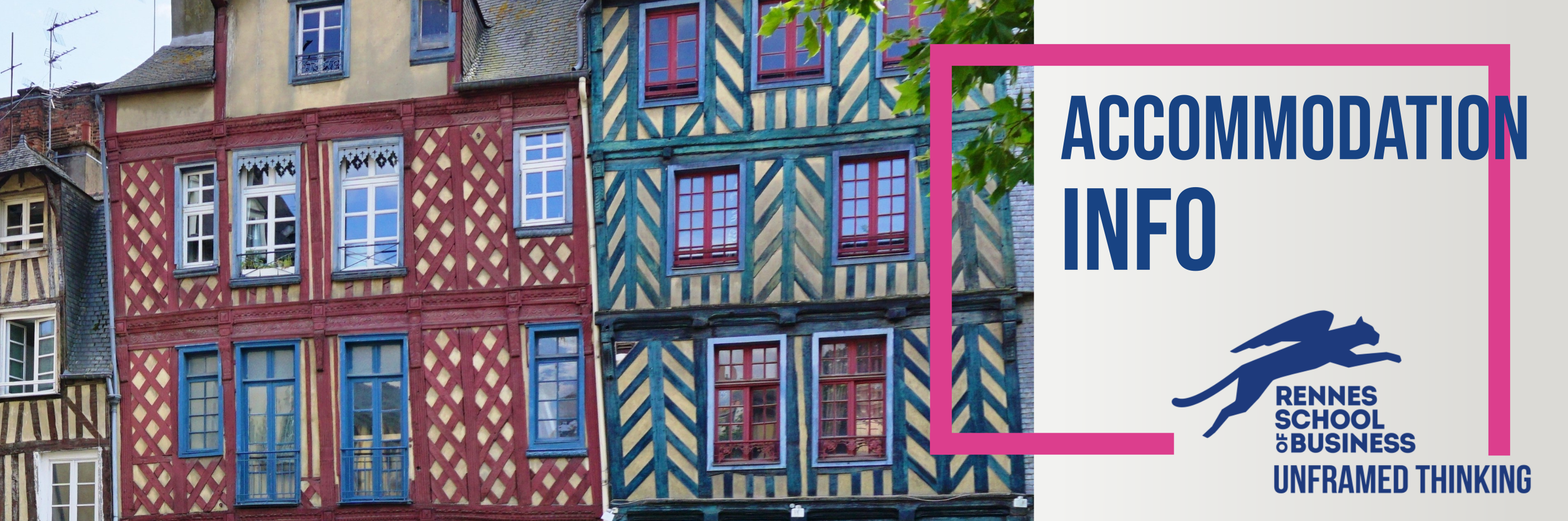 accommodation banner_pink .png