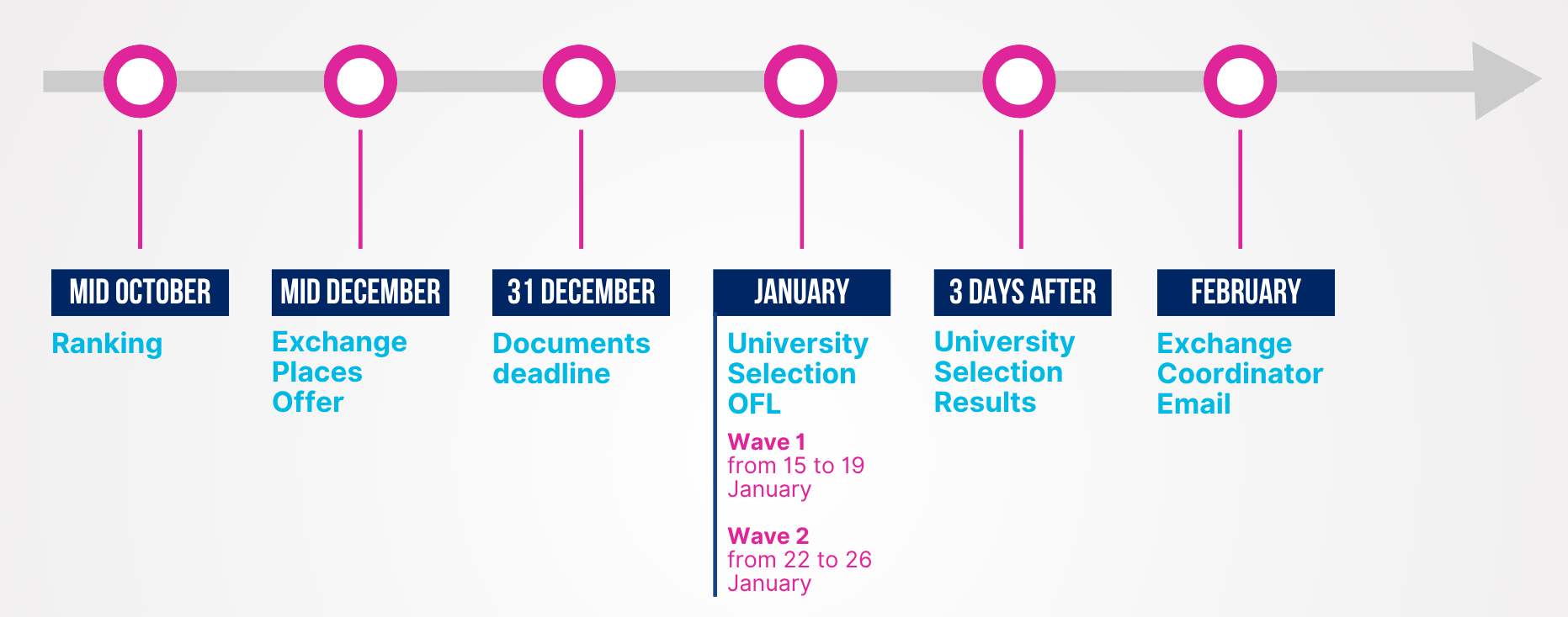 BACHELOR - University Selection Timeline 📅 – Aloha Student Support