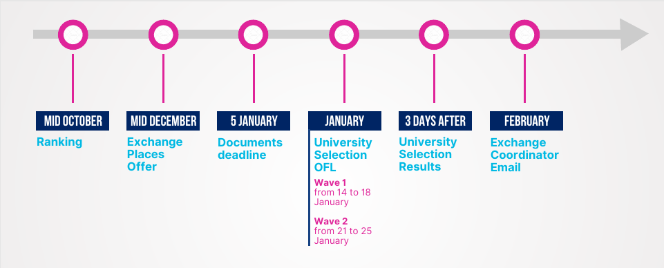 Timeline Aloha BIM.png